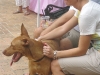 PATPwatch
